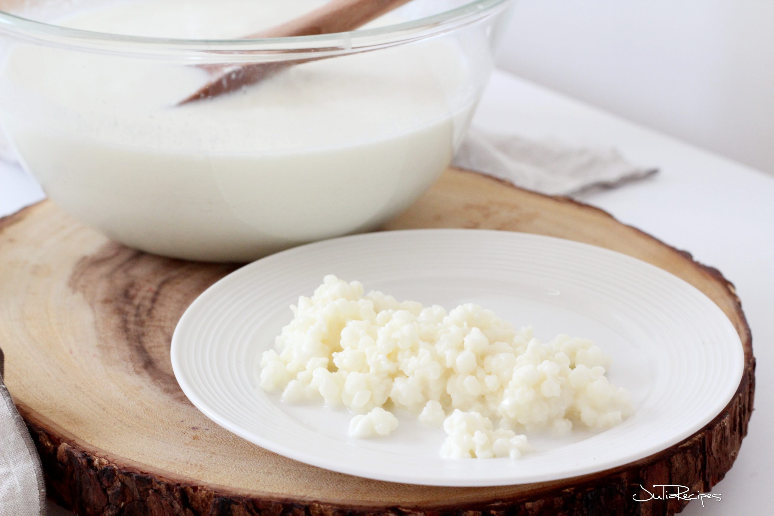 milk grains for making kefir on plate